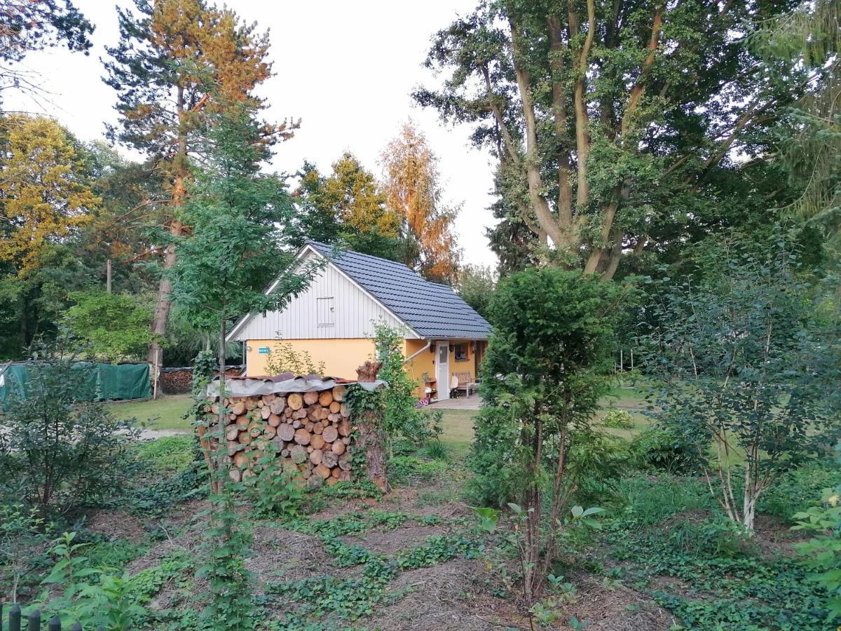 Bleichehof Villa Burg  Exterior photo